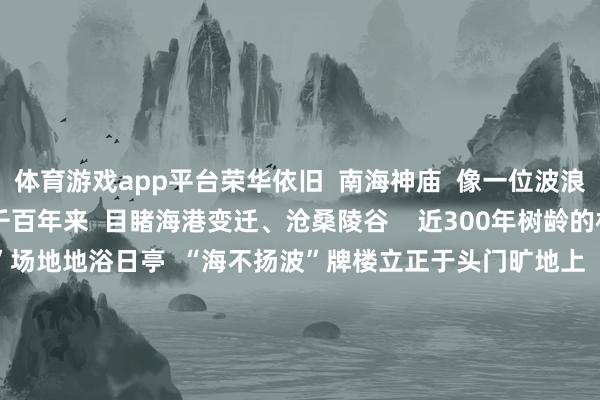 体育游戏app平台荣华依旧 南海神庙 像一位波浪不惊的时光老东谈主 千百年来 目睹海港变迁、沧桑陵谷 近300年树龄的相想树 守候着“扶胥浴日”场地地浴日亭 “海不扬波”牌楼立正于头门旷地上 自唐至清的30余方碑刻洒落其中 缄默陈诉着历史变迁 △南海神庙礼亭 在南海神庙 “南海神庙与海上丝绸之路”展览中 还展出有 马龙、樊振东、孙颖莎等 国乒通顺员的指摹 以及亲笔签名拍子 快来和你可爱的乒乓球通顺员 击个“掌”吧! 在南海神庙东侧 有着现在广东省内独逐个座 “海事”专题博物馆 广州海事博物馆 △图/贾清高 广州海事博物馆 有好多意旨的展览 其中 常设展览 七海扬帆 ——唐宋技术的广州与海上丝绸之路 从中外航路、造船帆海等方面 多角度展示唐宋技术 广州海上丝绸之路的历史风貌 △唐宋技术的“指南鱼” △宋代市舶宴场景 百年广州港与城 看百年前的广州城与广州东谈主 转头“南边大港”宏伟缱绻的出身与齐全 回到“一百年前的广州”买买买 本年过年 在千年古港玩出新意 海博奇“庙”游 春节系列手脚 安排上了! 全新钢印顾忌章 新春挂画、纸雕手作 …… 一齐来玩吧! 南海神庙、广州海事博物馆参不雅 均不需要预约 广州海事博物馆免费 南海神庙景区全票10元 未成年东谈主免票 灵通技术 1月29日至2月9日:泛泛灵通 2月10日:周一闭馆 打卡地址 起原:广州海事博物馆、往期推文 -开云平台网站皇马赞助商| 开云平台官方ac米兰赞助商 最新官网入口