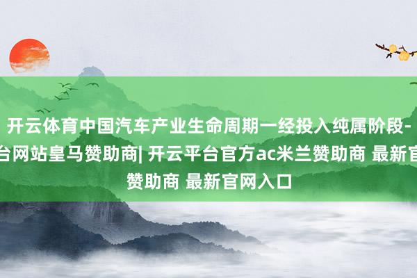 开云体育中国汽车产业生命周期一经投入纯属阶段-开云平台网站皇马赞助商| 开云平台官方ac米兰赞助商 最新官网入口